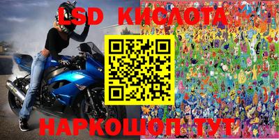 a pvp Камышлов