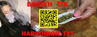 a pvp Камышлов