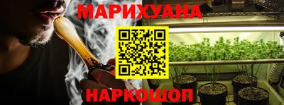 a pvp Камышлов