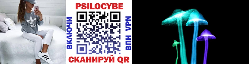 Галлюциногенные грибы Cubensis  omg маркетплейс  Новочеркасск 