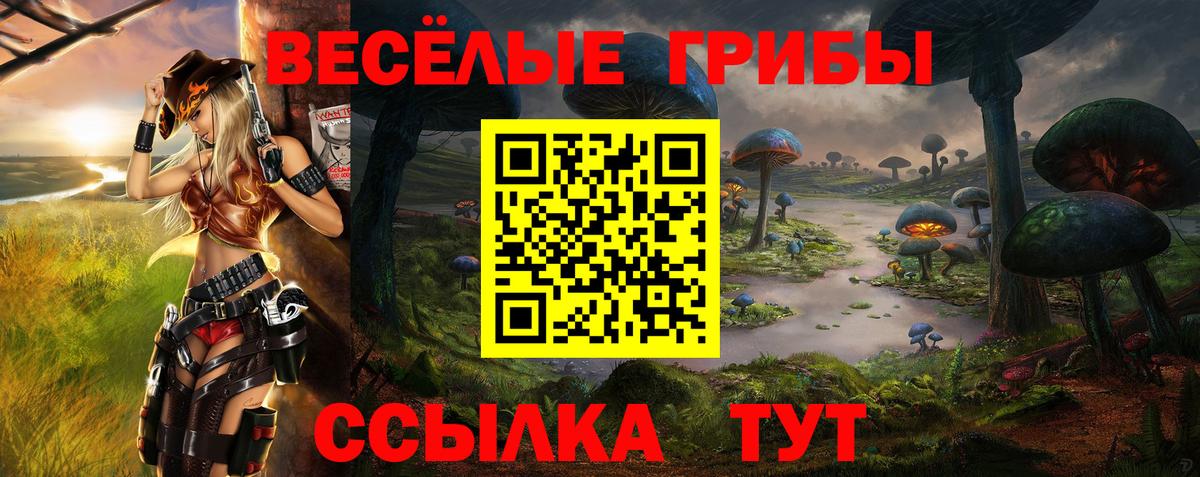 Галлюциногенные грибы прущие грибы  Псилоцибиновые грибы Psilocybe  Новочеркасск  Вход с VPN 